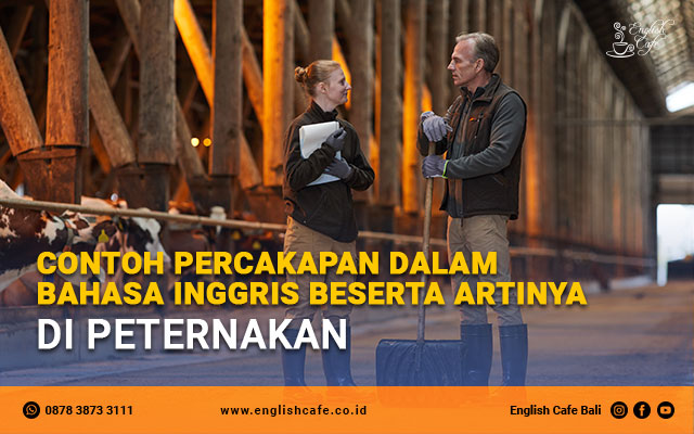 Contoh percakapan dalam bahasa Inggris beserta artinya di peternakan
