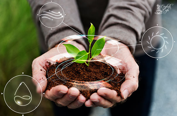ide writing tentang lingkungan atau environment